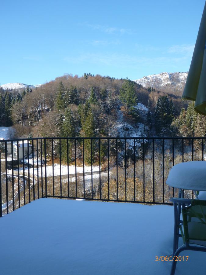Logis Hotel Les Tilleuls Saint-Cirgues-de-Jordanne Eksteriør billede